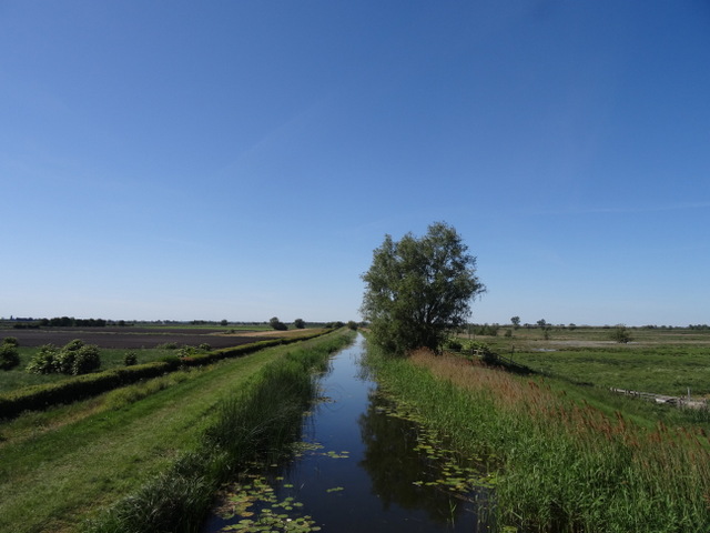 Ready, Steady, Ride: Recent Bike Rides in East Anglia