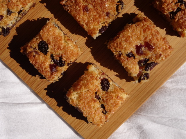 Chocolate Coconut Slice