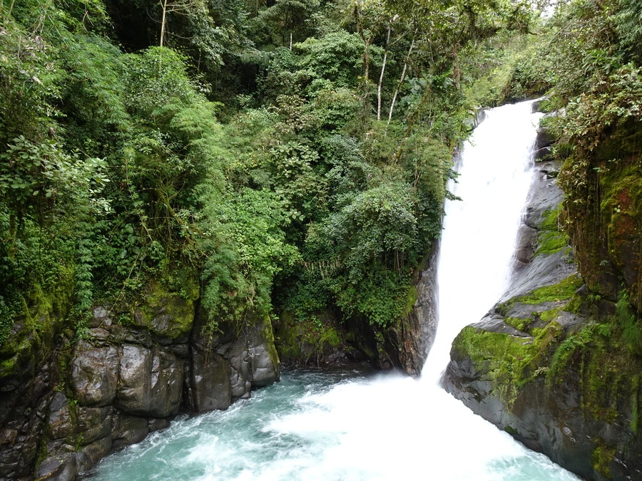 Cloudbridge Nature Reserve, San Gerardo de Rivas