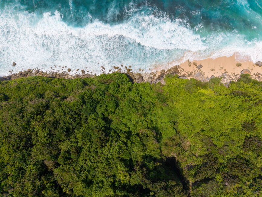 Stunning aerial shot of a lush green coastline meeting the blue ocean in Bali.