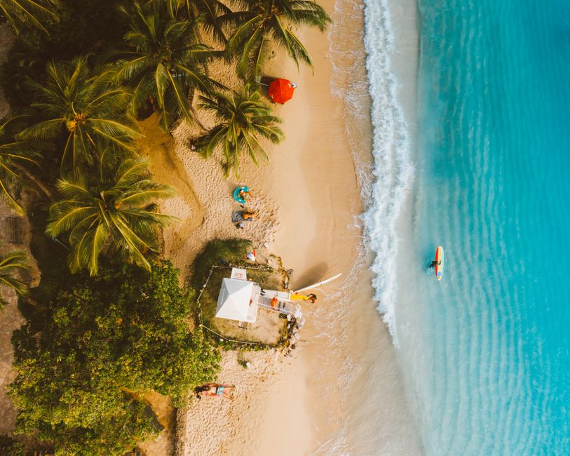 Stunning aerial shot of a tropical beach with palm trees and turquoise waters.