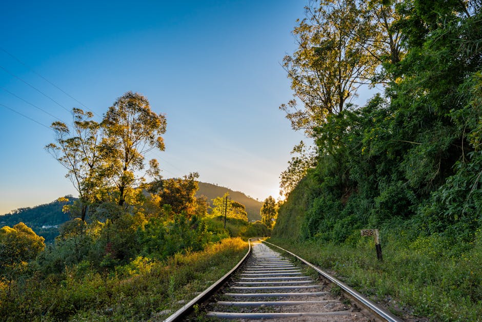 Explore the serene natural beauty of Sri Lanka with this lush railway landscape, perfect for travel and nature enthusiasts.