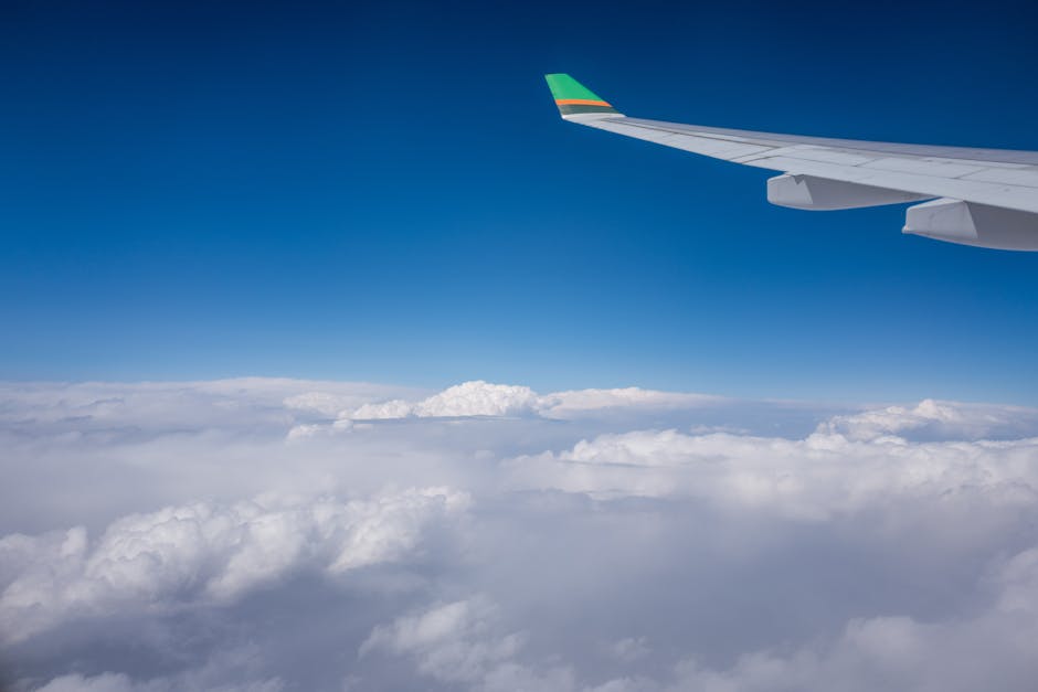 Cheap Flights Priceline: Analyzing Express Deals and Opaque Booking Strategies 2024