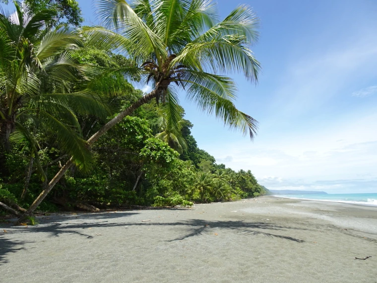 3 Days Hiking in Corcovado National Park, Costa Rica