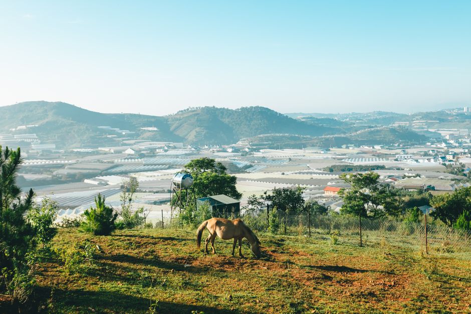 Eco-Friendly Hostels Southeast Asia: How to Find Eco-Friendly Hostels in Southeast Asia for Under  a Night