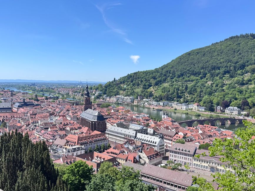 Aerial view of Heidelberg, Germany's historic architecture and scenic landscape.
