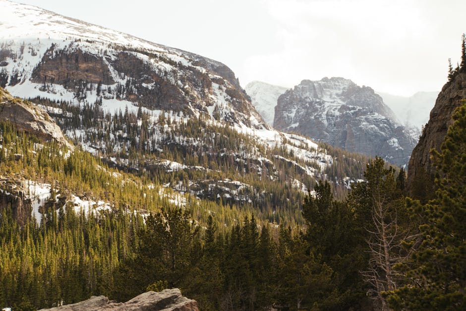 Breathtaking view of snow-covered Rocky Mountains with evergreen forests in Colorado.