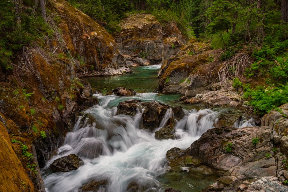 Tranquil scene of a flowing stream through a rocky forest in Washington State.