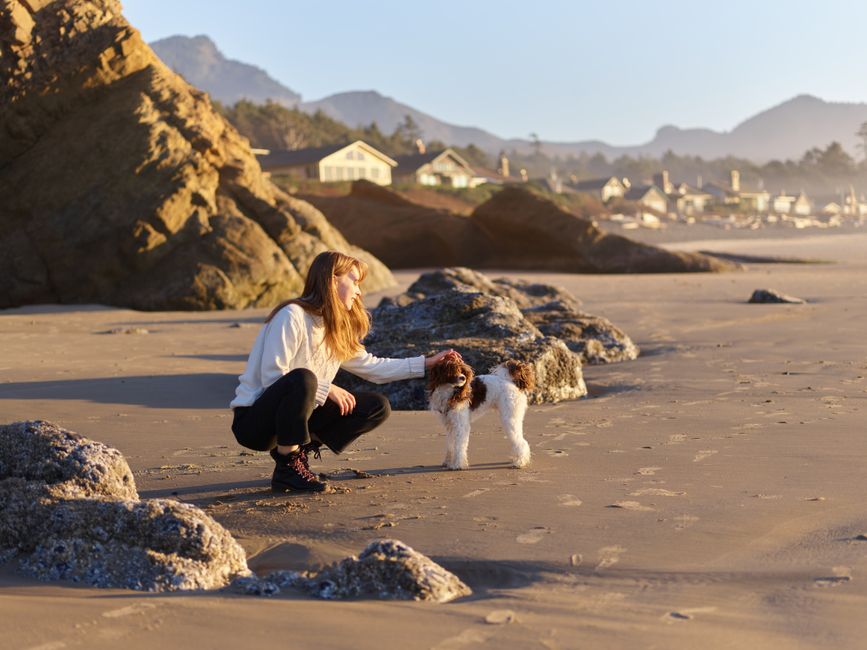 A woman kneels to pet a dog on a serene beach with rocky terrain at sunset.