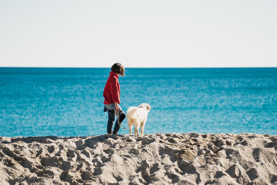 A young girl in a red jacket walks her dog along a sandy beach with a vibrant blue sea backdrop.