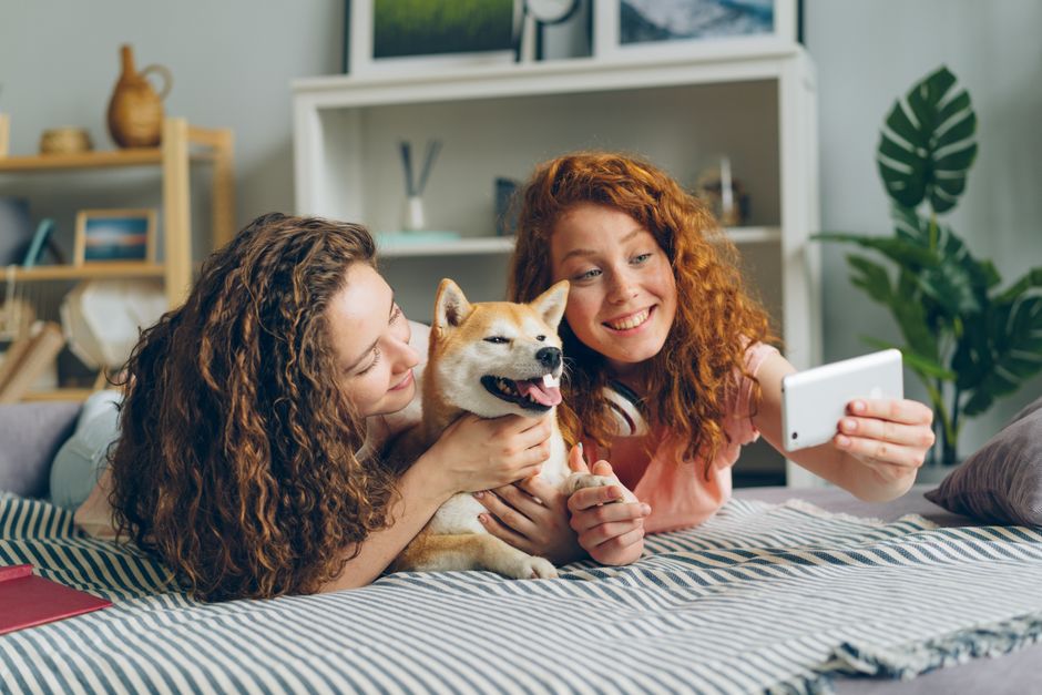 Pet-Friendly Vacation Rentals Major Us Cities: How to Find Pet-Friendly Vacation Rentals in Major US Cities (Without Getting Burned by Hidden Fees)