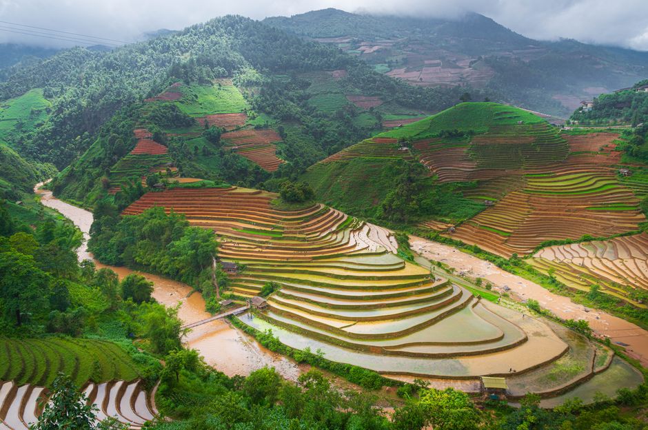 A breathtaking view of terraced rice fields in a verdant mountain setting, showcasing nature's beauty.