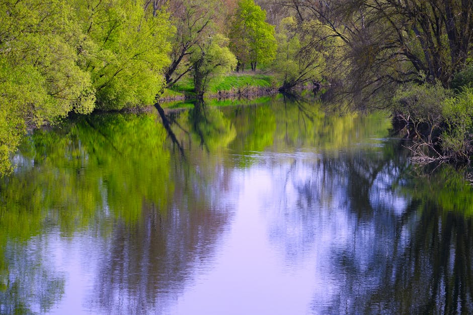 Travel Safety Mistakes Most Tourists Learn the Hard Way