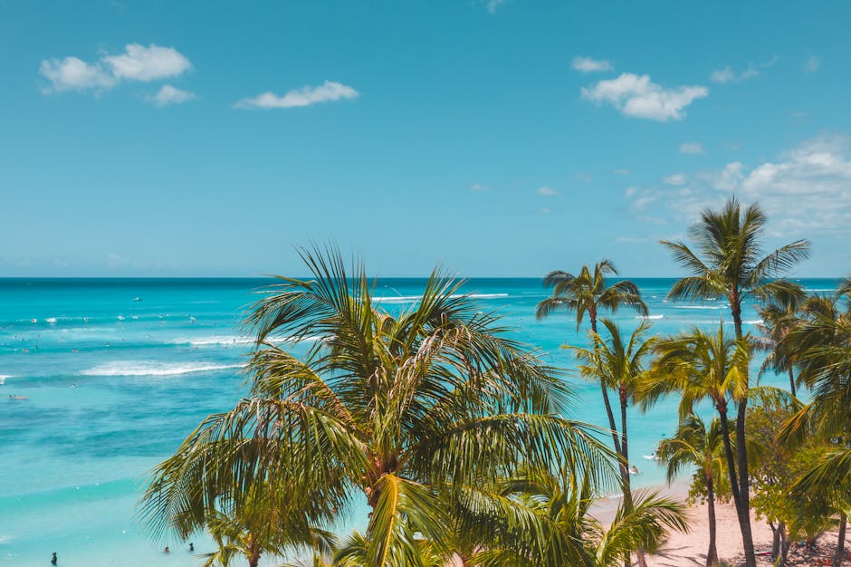 Stunning aerial view of a tropical beach with lush palm trees and clear blue waters.